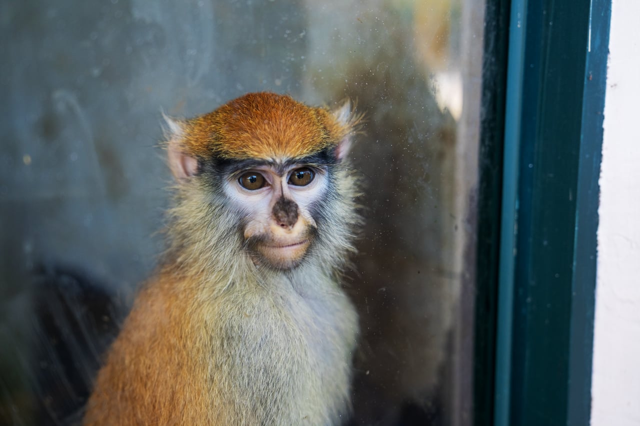 新增摄影作品 1