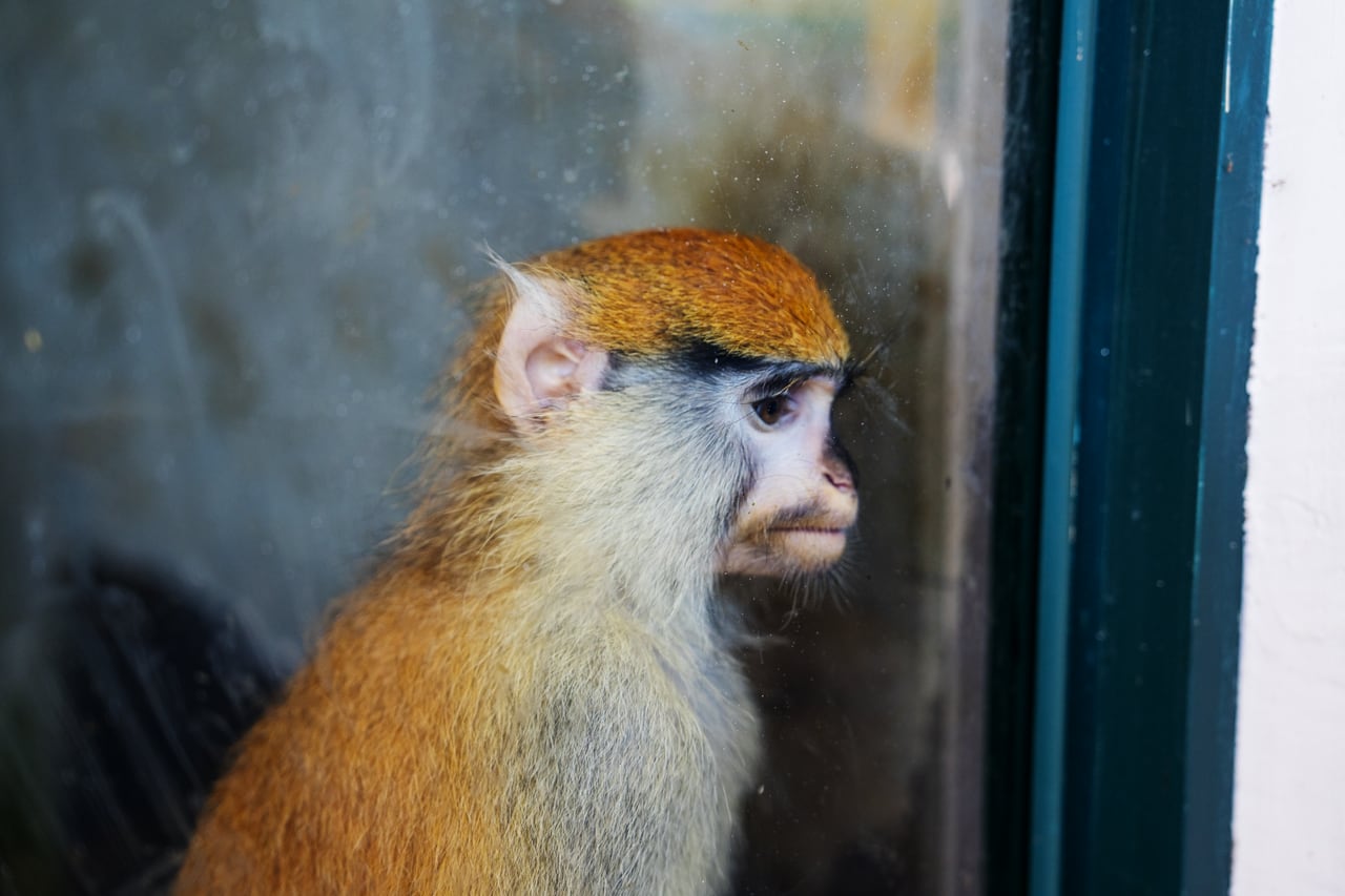 新增摄影作品 2